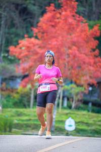 BIB: 8204
                            <button type="button" onclick="openModal(19240828)" class="btn btn-primary btn-sm float-right btn-popup" data-toggle="modal" data-target=".modal-high-quality">
                        <i class="fas fa-shopping-cart"></i> Add to Cart
                    </button>
                                            <button type="button" onclick="isThisMe(19240828, true)" class="btn btn-success btn-sm float-right btn-popup btn-isme hidden" data-toggle="tooltip" data-placement="bottom" title="นี่คือรูปของคุณใช่ไหม คลิกที่นี่เพื่อเอาเข้าอัลบั้ม">
                        <i class="fas fa-plus"></i> Add to album
                    </button>
                    <button type="button" onclick="isThisMe(19240828, false)" class="btn btn-warning btn-sm float-right btn-popup btn-isnotme hidden">
                        <i class="fas fa-ban"></i> Remove from album
                    </button>